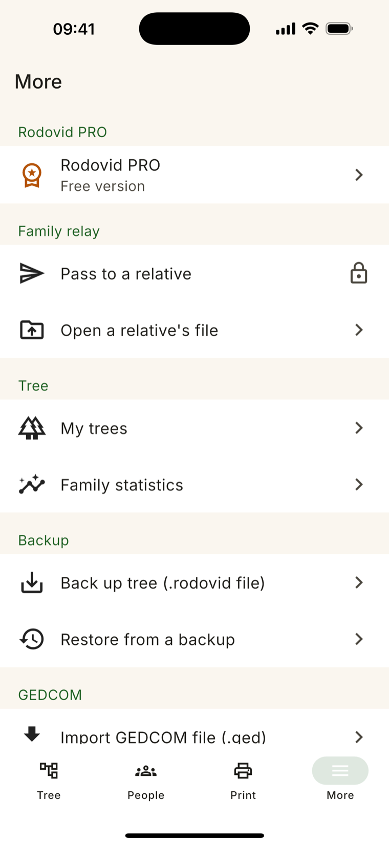 Rodovid — More screen: Family Relay, backups, GEDCOM import and export