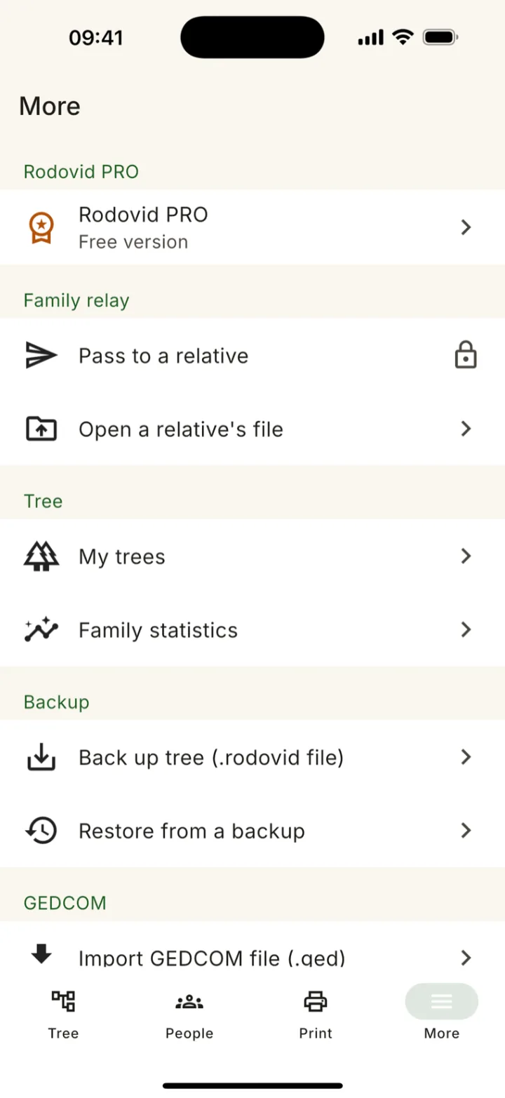Rodovid — More screen: Family Relay, backups, GEDCOM import and export